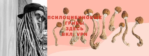 экстази Алексин